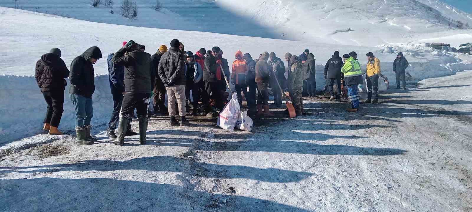 Artvin’de çığ faciasındaki kayıp çoban için arama çalışmaları üçüncü gününde yeniden başladı 5 artvinde cig faciasindaki kayip coban icin arama calismalari ucuncu gununde yeniden basladi 1 mNLevTmp