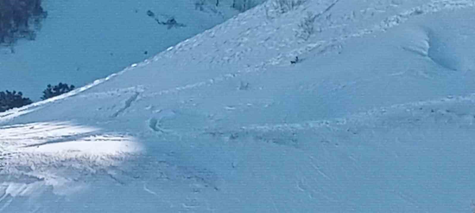 Artvin’de çığ faciasındaki kayıp çoban için arama çalışmaları üçüncü gününde yeniden başladı 7 artvinde cig faciasindaki kayip coban icin arama calismalari ucuncu gununde yeniden basladi 3 szJUGEW9