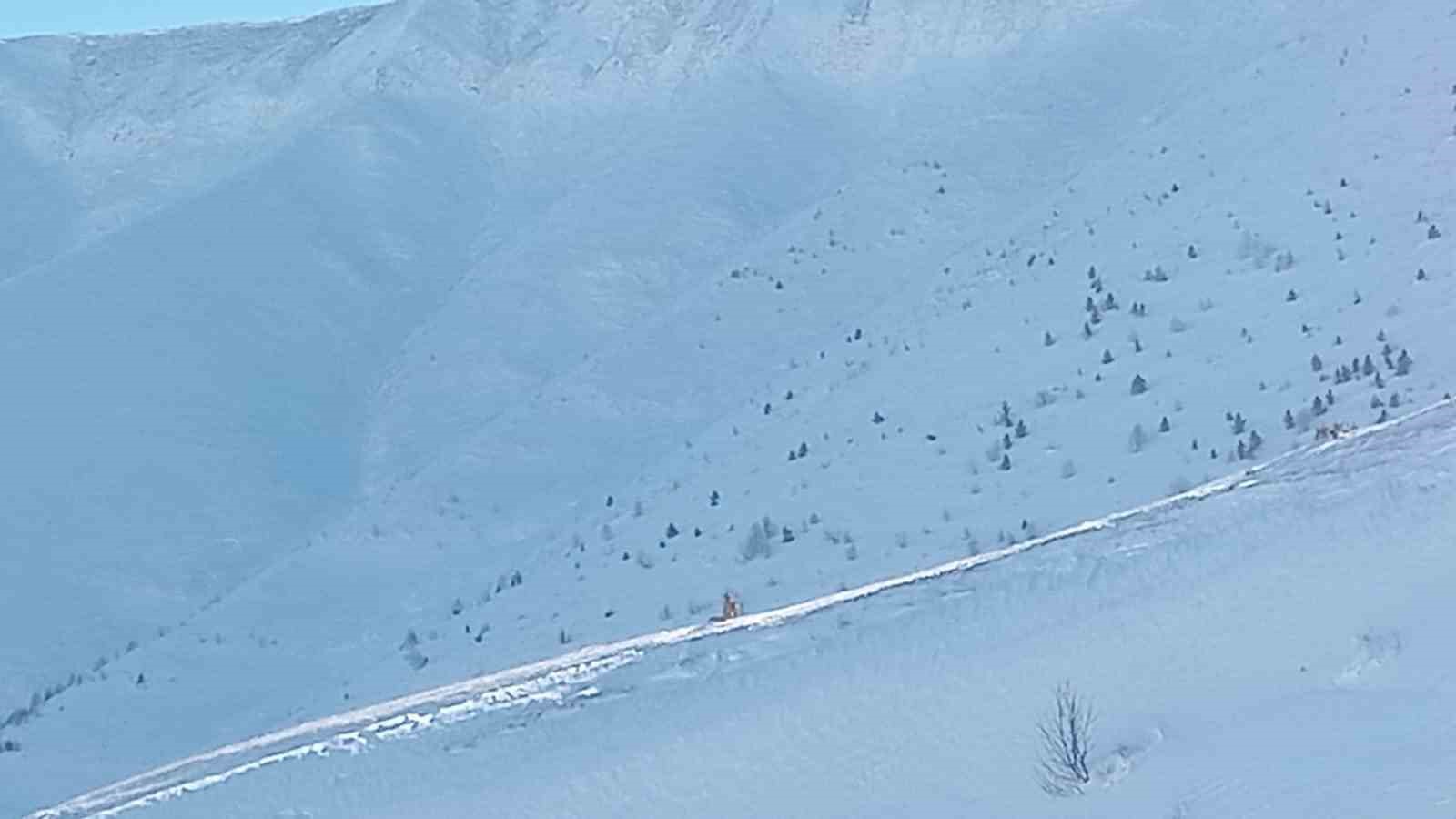 Artvin’de çığ faciasındaki kayıp çoban için arama çalışmaları üçüncü gününde yeniden başladı 9 artvinde cig faciasindaki kayip coban icin arama calismalari ucuncu gununde yeniden basladi 5 GGLEqd3d