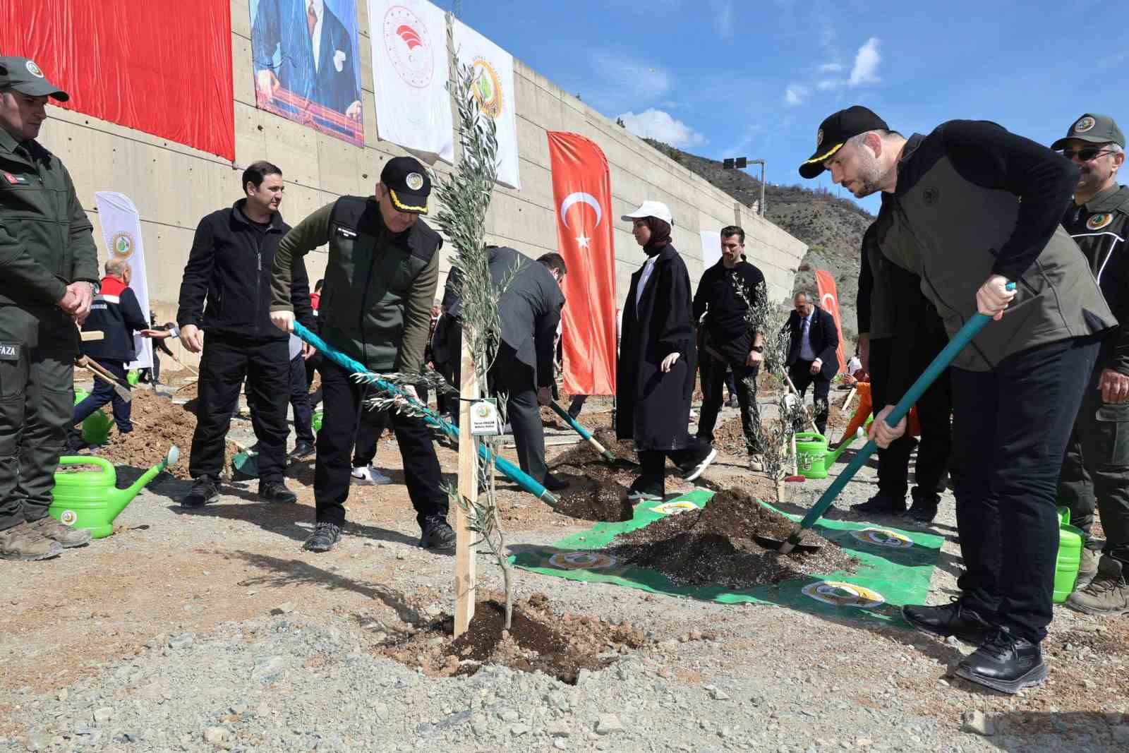 artvinde hedef 2026 yilinda 750 bin fidan 5 gPCDNqiM
