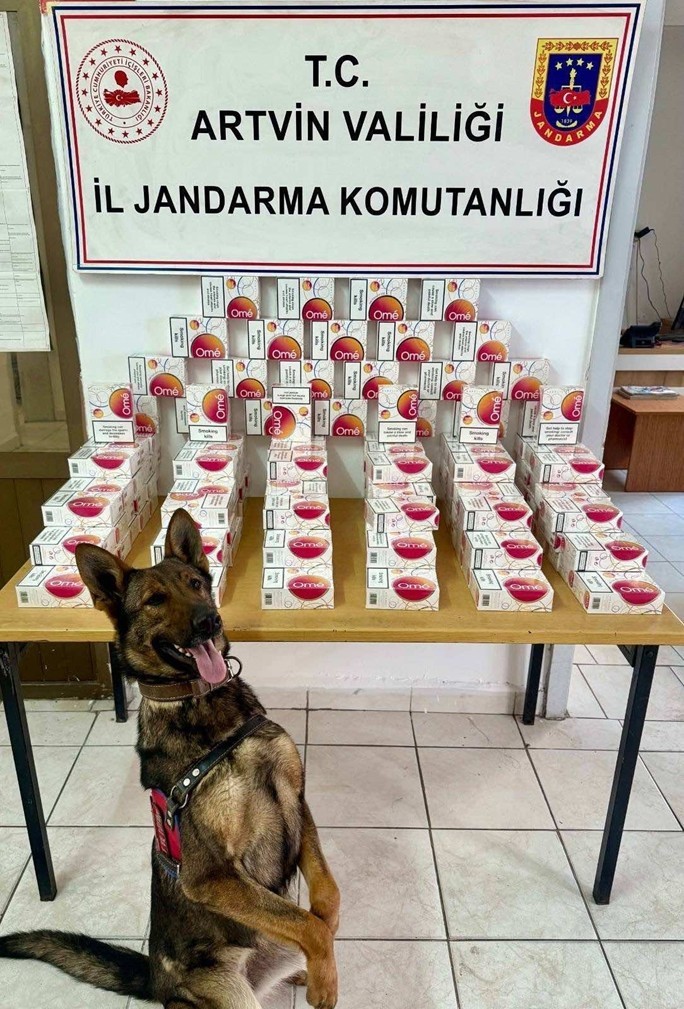 artvinde kacakcilikla mucadelede 9 bin 690 paket sigara ele gecirildi 4 YUWhrtNc