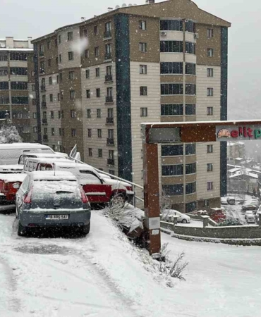 artvinde-kar-etkili-oluyor-kpmDWeDW.jpg