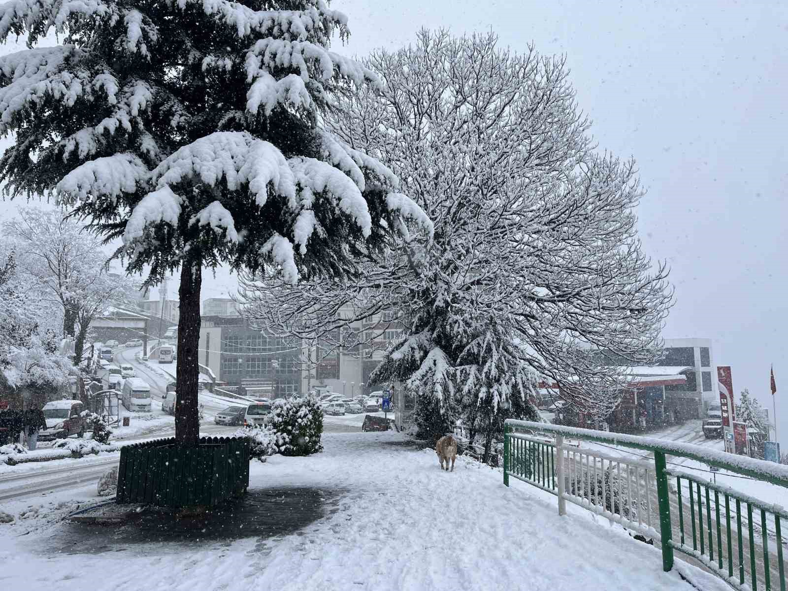 artvinde kar yagisi etkisini surduruyor 4 iwb37Nmu