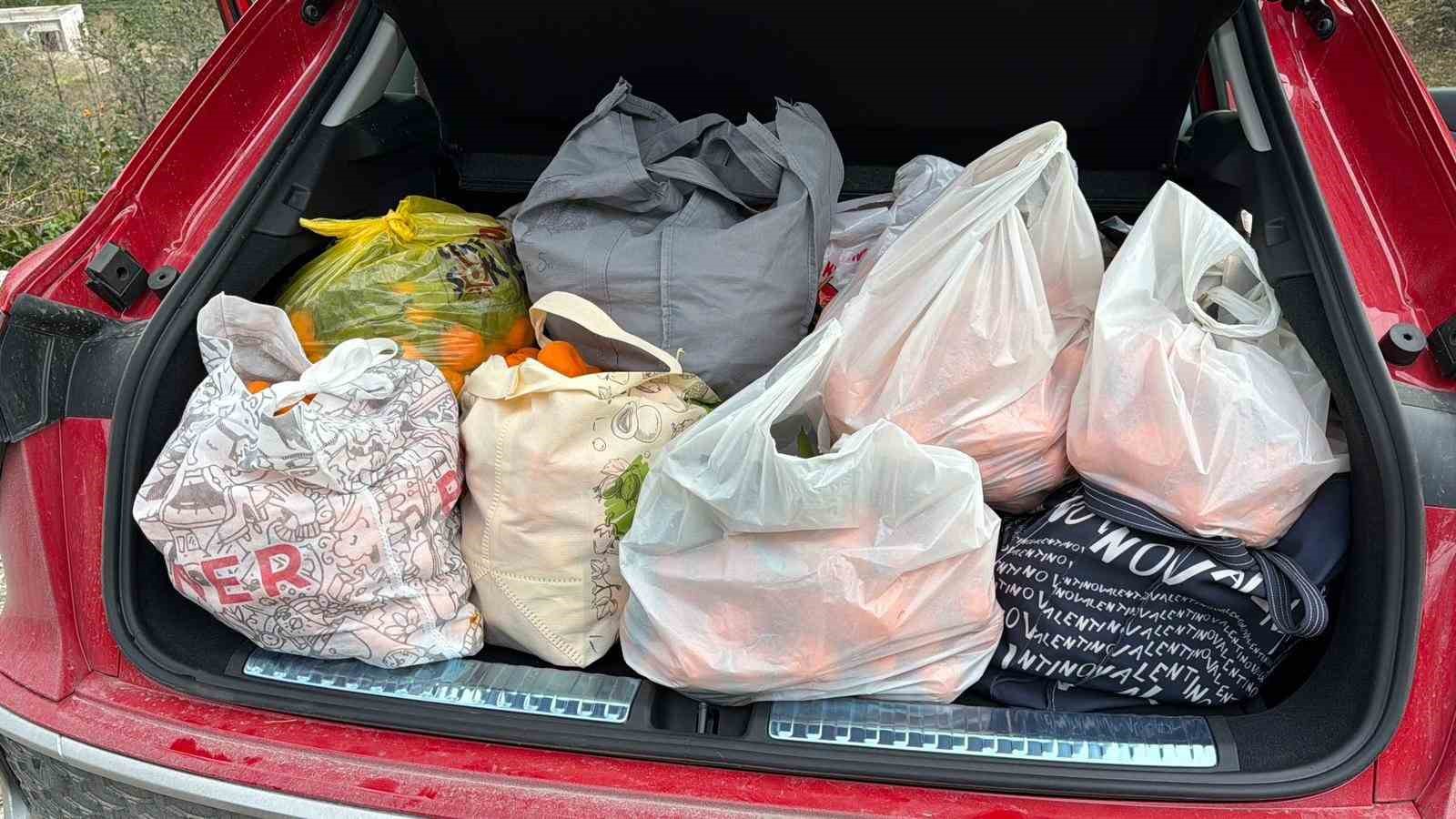 artvinde mandalina bereketi torpidoya tasti 3 dZVdpiQC
