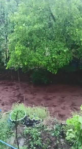 Artvin’de sağanak sonrası dereler taştı 8 artvinde saganak sonrasi dereler tasti 4 BmviI3pC