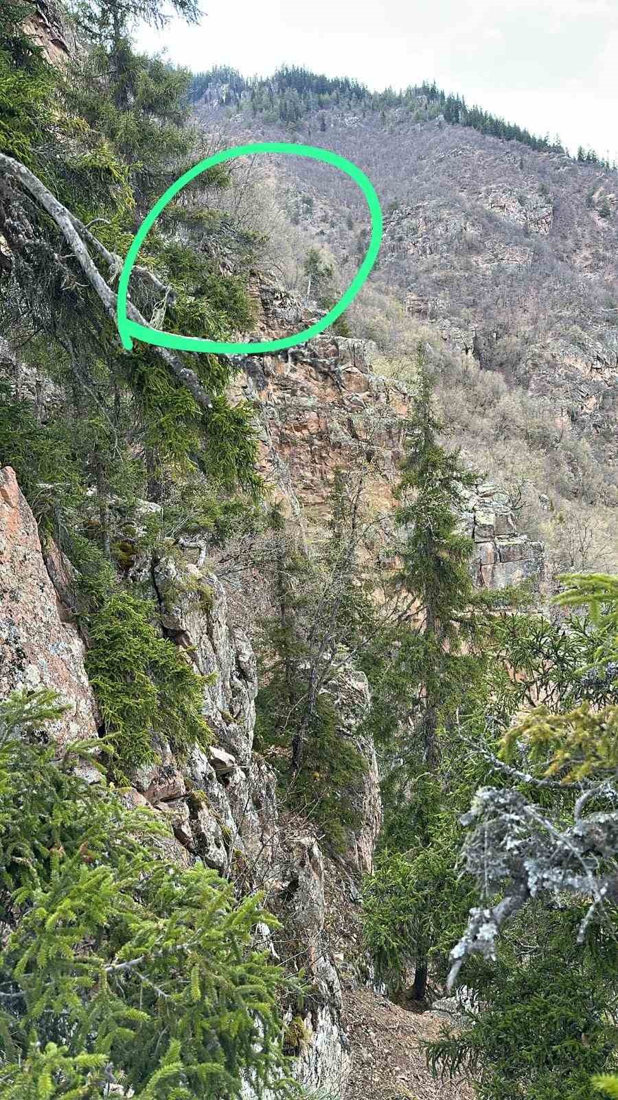 artvinde yaylada duserek yaralanan vatandas helikopterle kurtarildi 7 B1yBFift