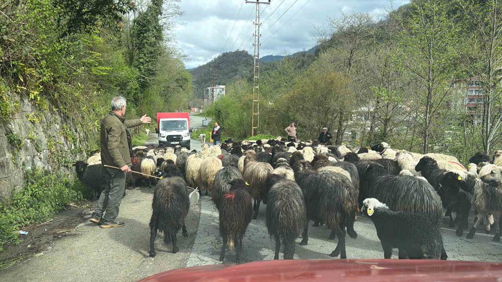 artvinde zorlu yayla gocu basladi 1 sDRqbGnT