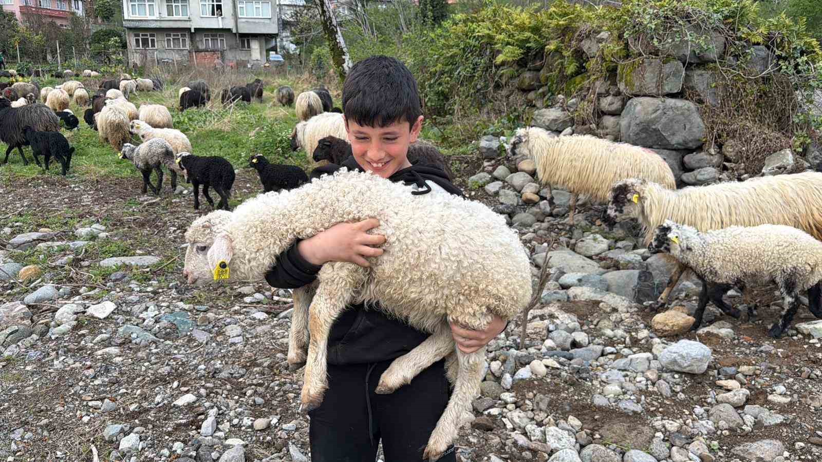 artvinde zorlu yayla gocu basladi 6 5R7aV8CT