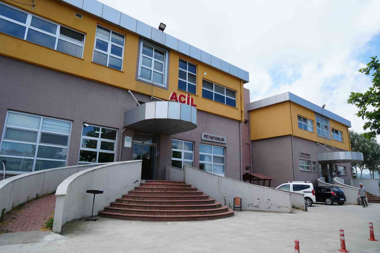 Asfalt patileri yakıyor, pisi pisi otu tehlike saçıyor: Uzmanından sıcak hava uyarısı 6 asfalt patileri yakiyor pisi pisi otu tehlike saciyor uzmanindan sicak hava uyarisi 2 XgH7cS28
