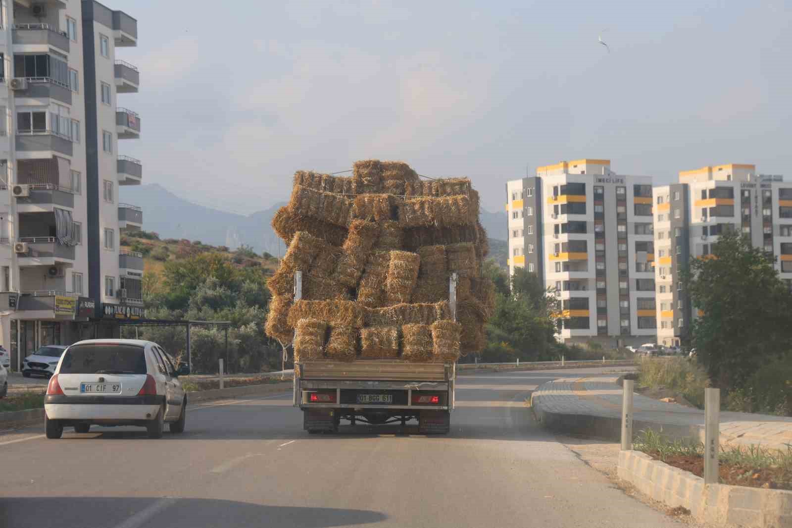 Aşırı saman yüklü pikabın trafikteki tehlikeli yolcuğu 6 asiri saman yuklu pikabin trafikteki tehlikeli yolcugu 2 HmQyTGUC
