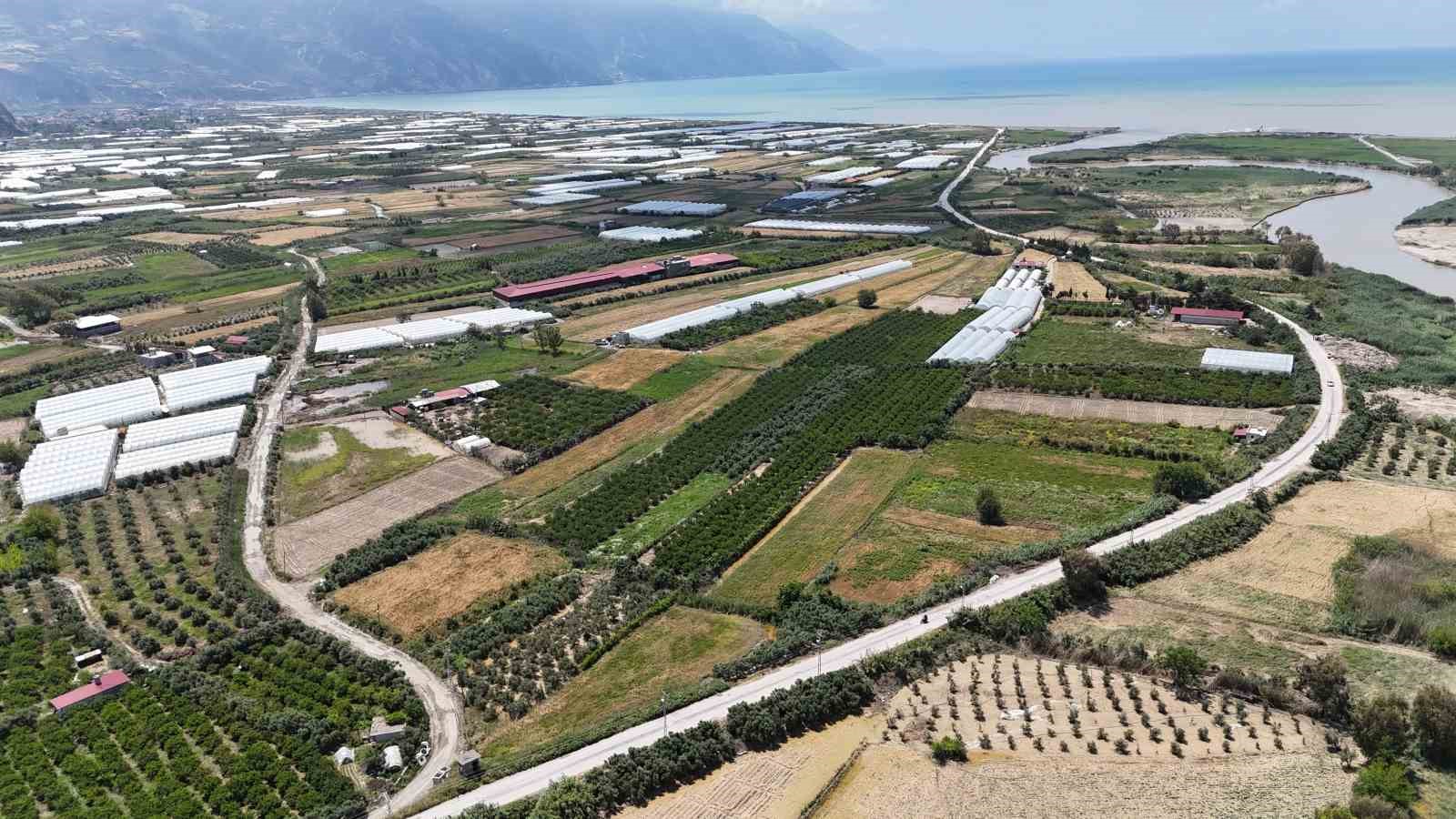 asiri yagislarla sular altinda kalan tarim arazilerindeki hasar sular cekilince ortaya cikti 1 WKqFSYBq