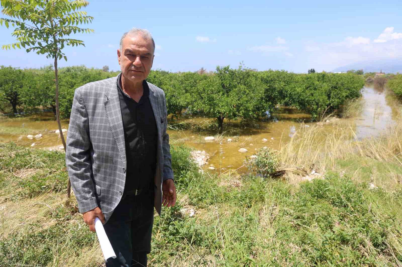 asiri yagislarla sular altinda kalan tarim arazilerindeki hasar sular cekilince ortaya cikti 4 1ZqyMiu5
