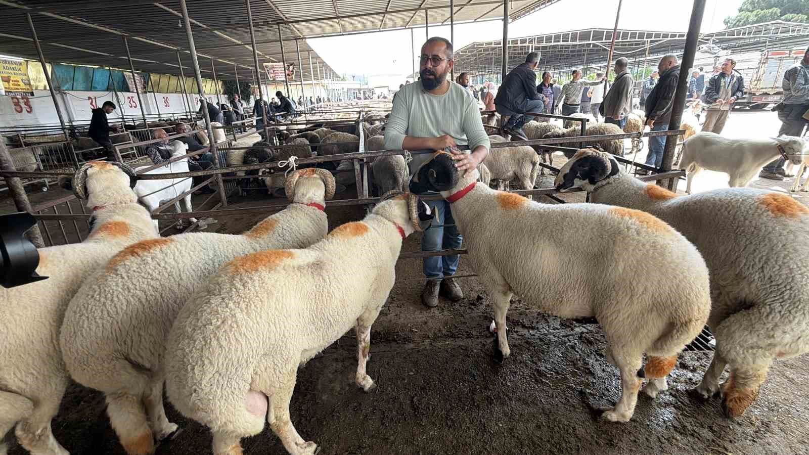 asirlik gelenek fiyatiyla da dikkat cekiyor 0 XhC67Hd8