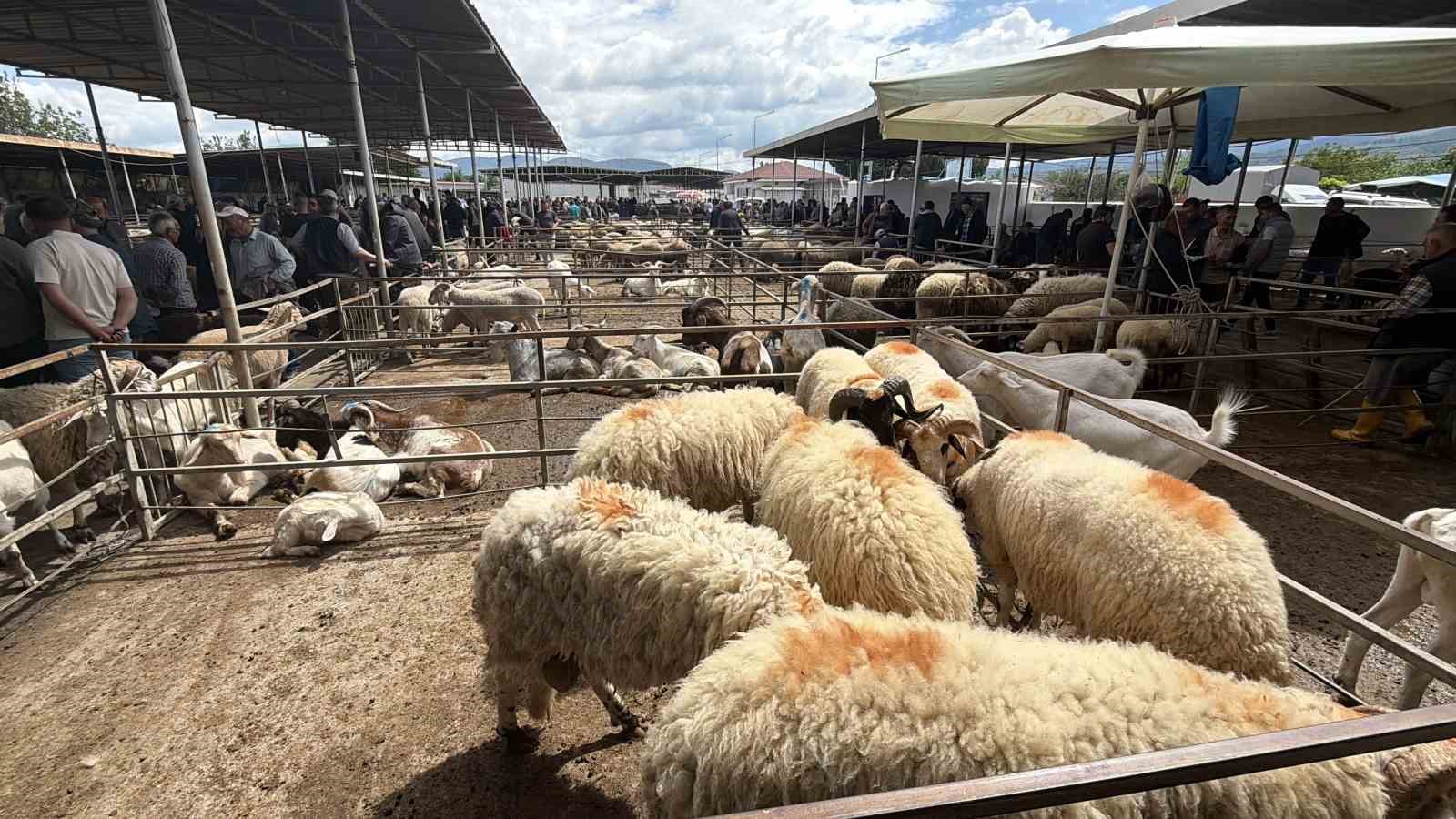asirlik gelenek fiyatiyla da dikkat cekiyor 2 HsmGyeiN