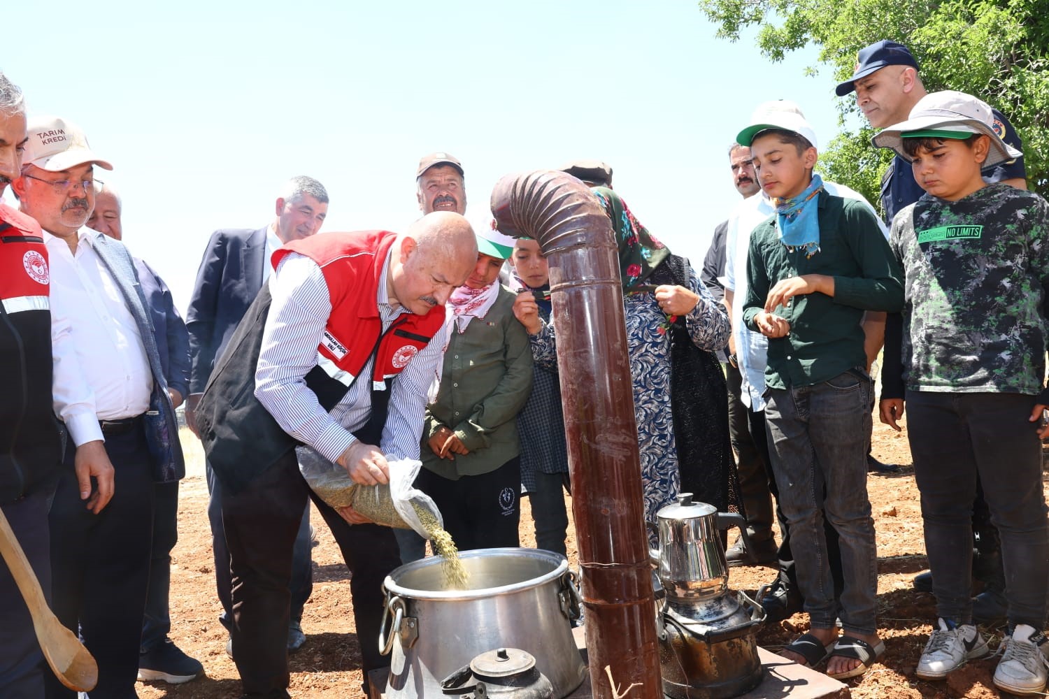 Asırlık lezzet firik bulgurunun hasadı başladı 5 asirlik lezzet firik bulgurunun hasadi basladi 1 cnsN6l72