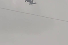 Koruma altındaki dağ keçileri Harput mezarlıklarında görüntülendi 1 thumbnail