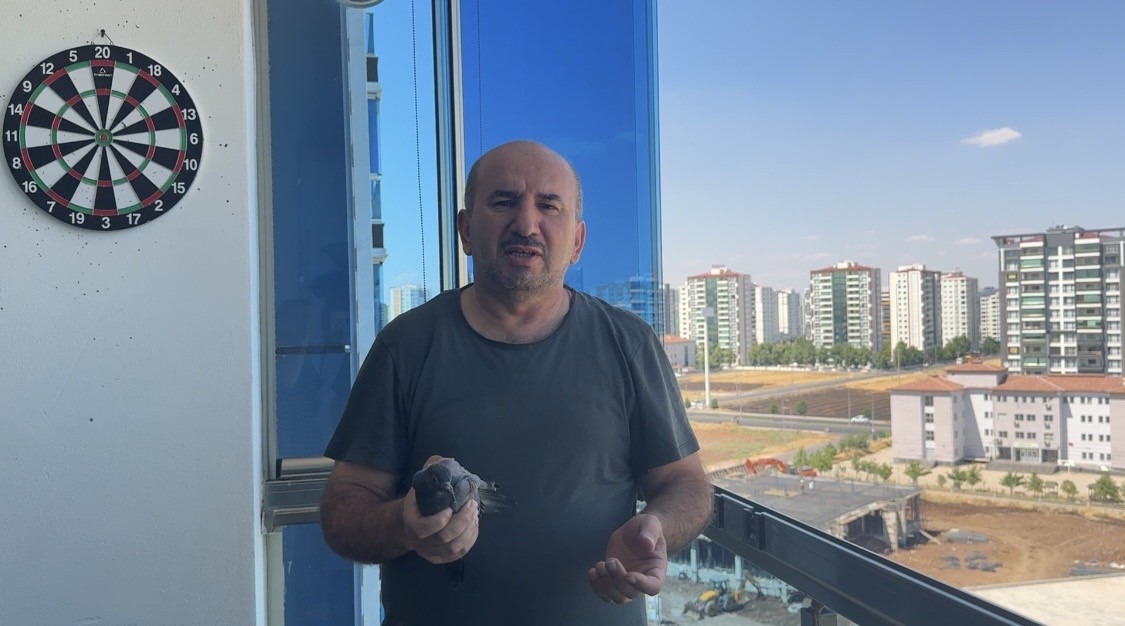 asma tavanda mahsur kalan guvercin kurtarildi 1 dWwAsusk