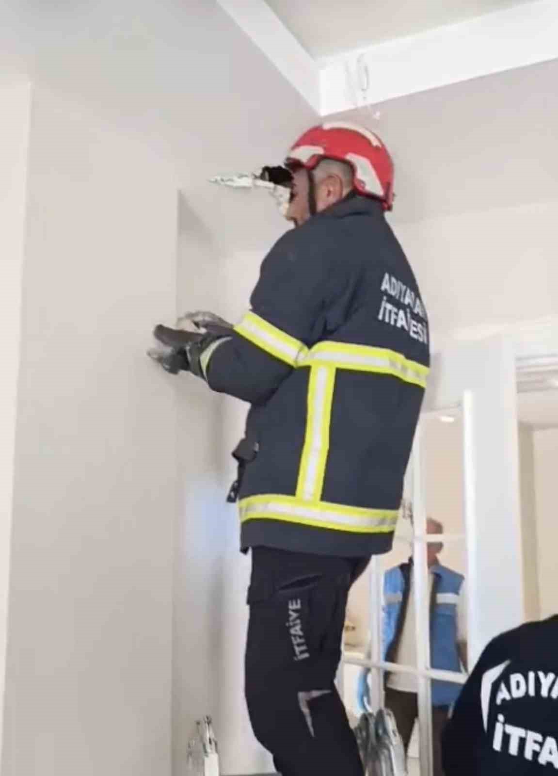 asma tavanda sikisan 4 yavru kedi kurtarildi 2 v37bMJHj