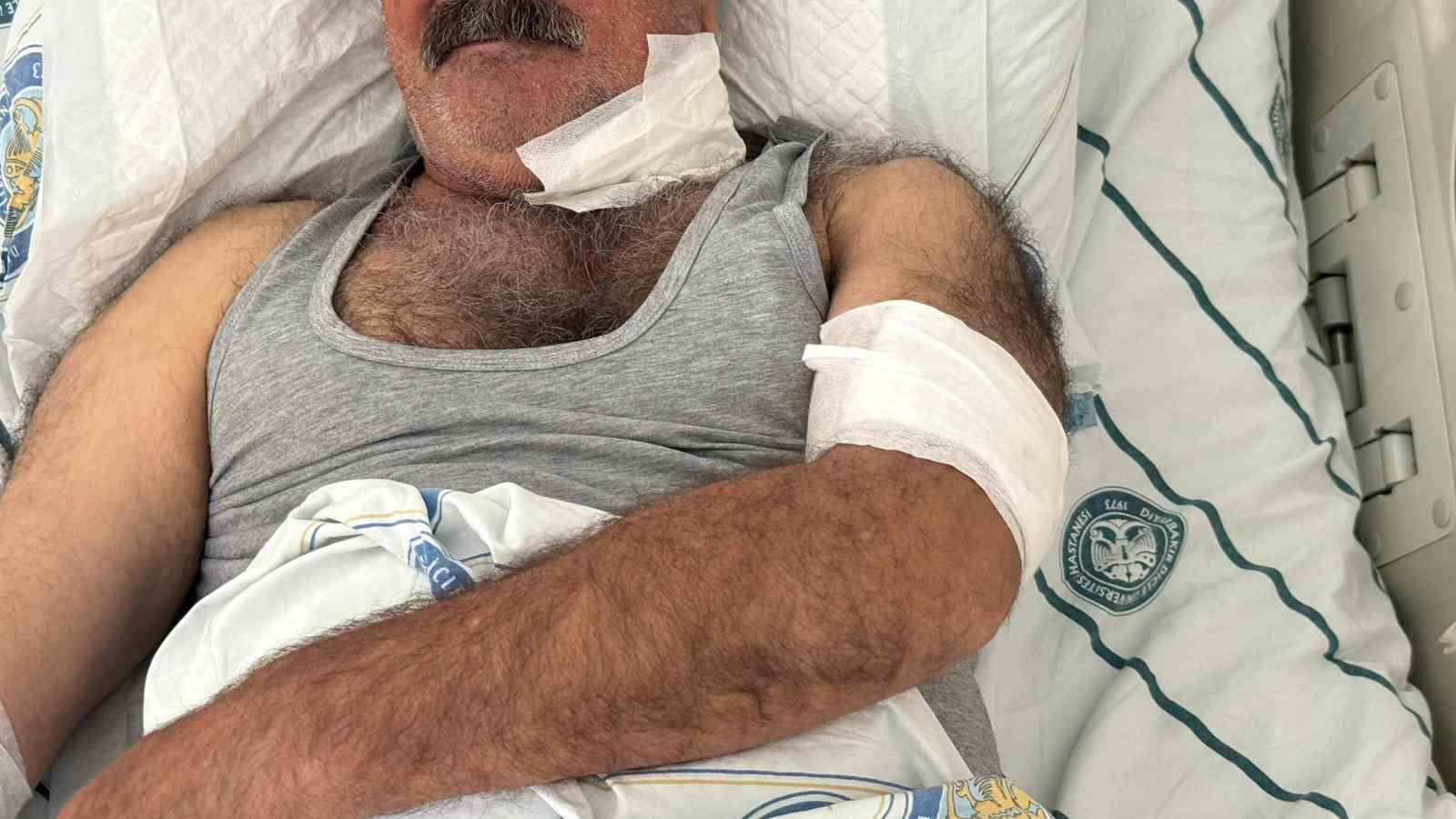 at sahibini bogazindan isirarak agir yaraladi 0 IIuqduAm