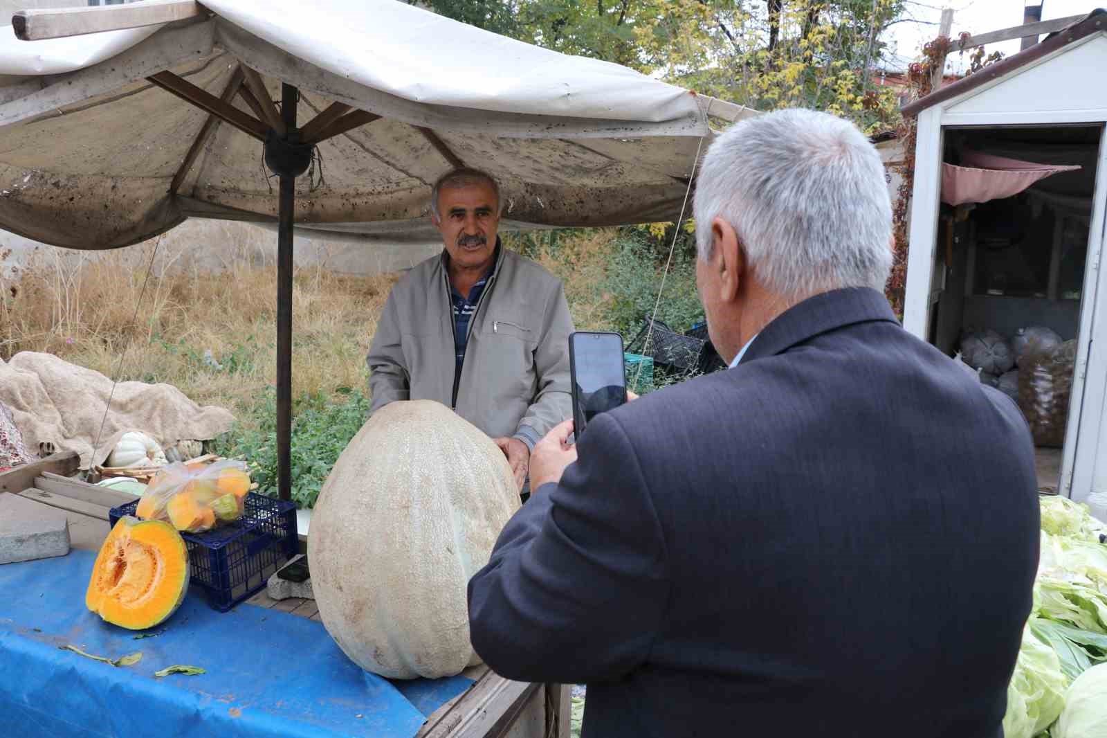 ata tohumu 51 kiloluk dev kabak ilgi odagi oldu 0 ZykEwHOn