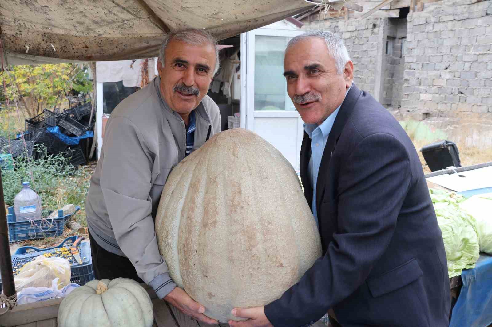 ata tohumu 51 kiloluk dev kabak ilgi odagi oldu 2 Z5OjUhdj