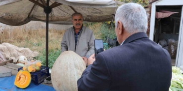 ata-tohumu-51-kiloluk-dev-kabak-ilgi-odagi-oldu-7ESwPtb6.jpg