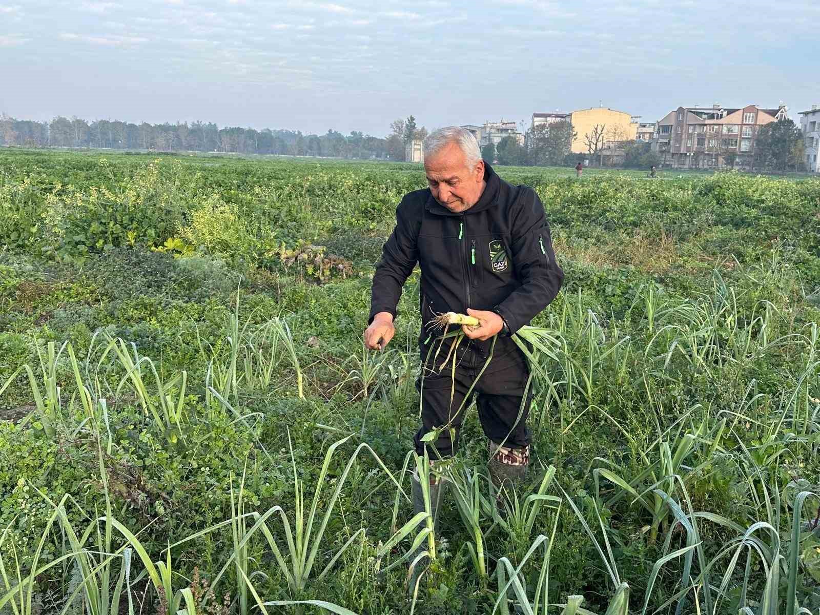 Ata tohumundan ilaç kullanılmadan üretiliyor, Kent Lokantası’ndaki yemeklerde kullanılıyor 4 ata tohumundan ilac kullanilmadan uretiliyor kent lokantasindaki yemeklerde kullaniliyor 0 XIrRc9sN