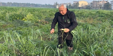 ata-tohumundan-ilac-kullanilmadan-uretiliyor-kent-lokantasindaki-yemeklerde-kullaniliyor-hG7paNkK.jpg
