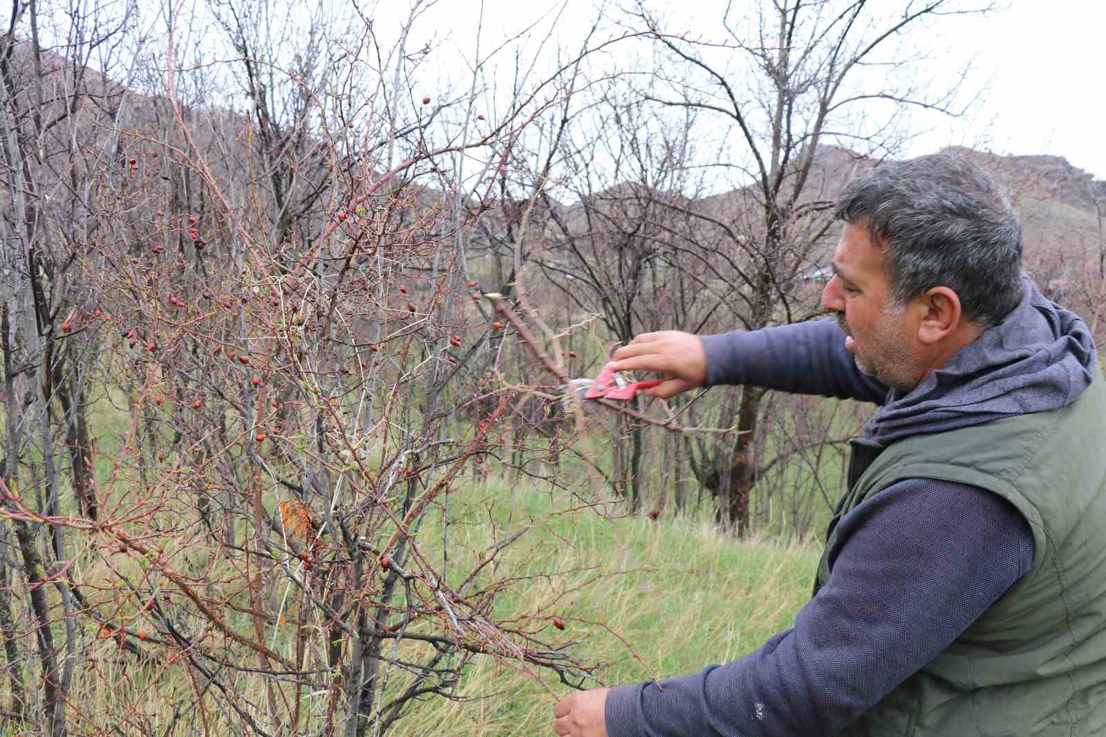 Atadan toruna kalan miras: "Baskın keklik" yöntemiyle dev envanter 7 atadan toruna kalan miras baskin keklik yontemiyle dev envanter 3 FmgnEYaH