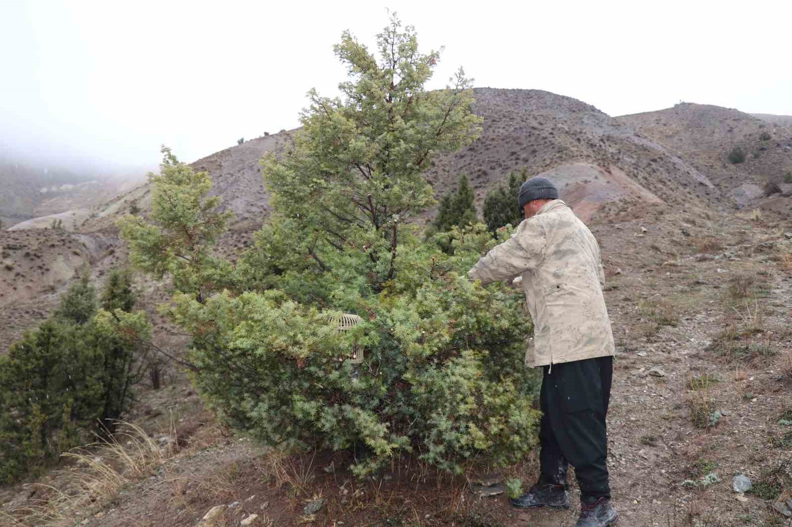 Atadan toruna kalan miras: "Baskın keklik" yöntemiyle dev envanter 11 atadan toruna kalan miras baskin keklik yontemiyle dev envanter 7 qMidZJi4