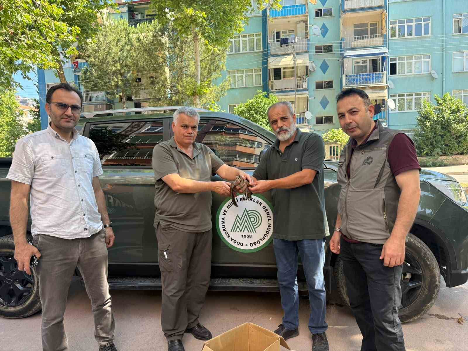 avcilar yarali cullugu doga koruma ekiplerine teslim etti 0 RDuDB7pw