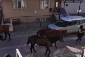 Silahlı kavgada hayatını kaybeden adam toprağa verildi 1 thumbnail