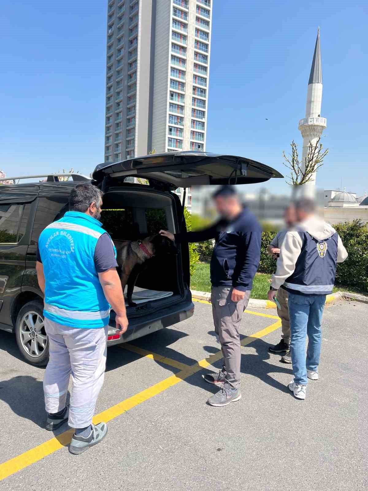 avcilarda kopege kotu muamelede bulunan sahis yakalandi 2 LdH6XSZX