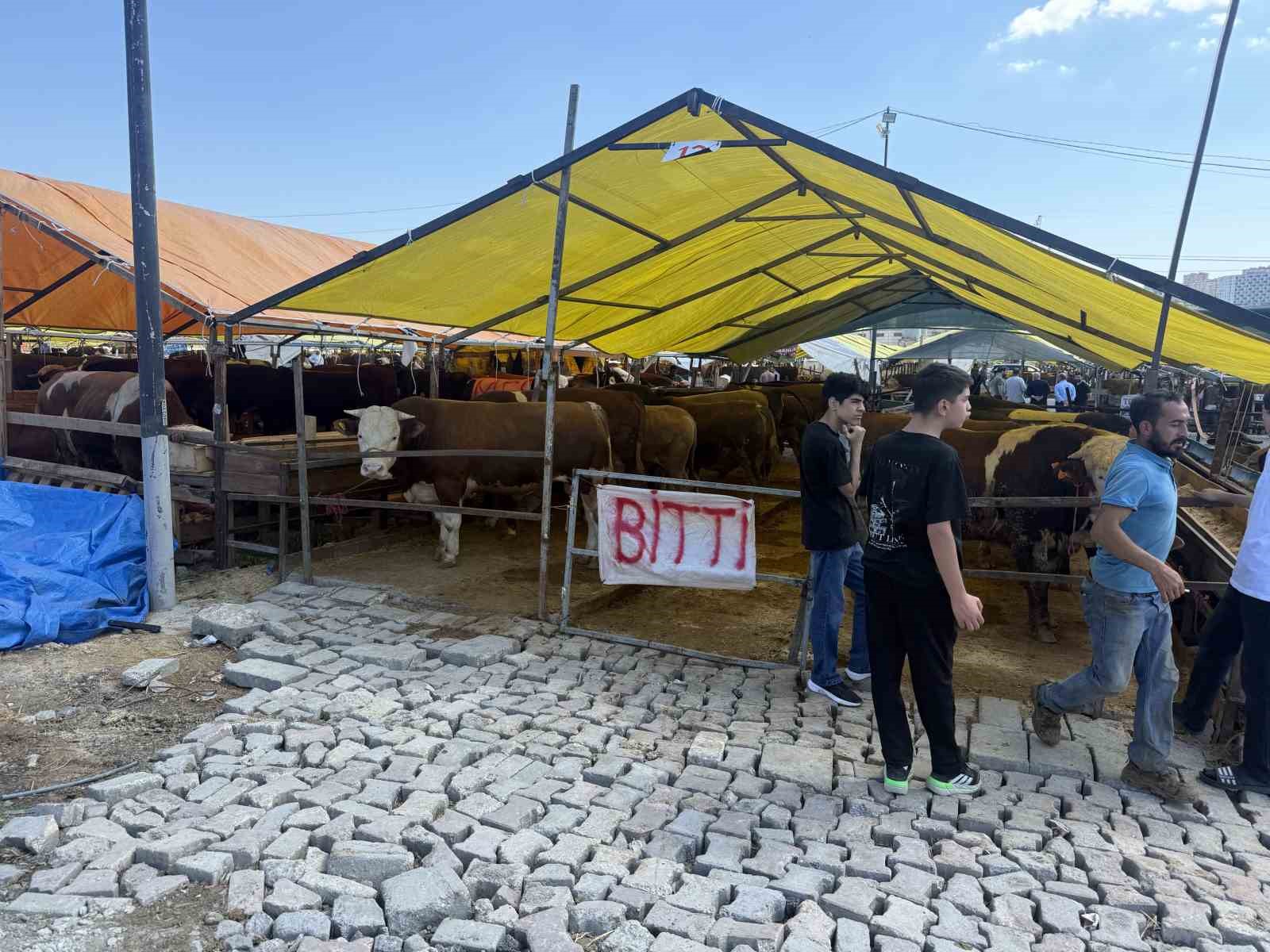 avcilarda kurbanliklarin buyuk kismi tukendi saticilar cadirlara bitti yazisini asti 0 6muucVOh