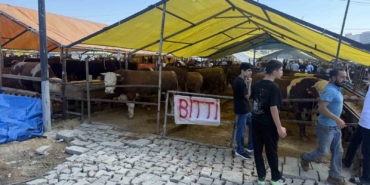 avcilarda-kurbanliklarin-buyuk-kismi-tukendi-saticilar-cadirlara-bitti-yazisini-asti-REgjBjd3.jpg