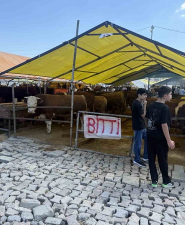 avcilarda-kurbanliklarin-buyuk-kismi-tukendi-saticilar-cadirlara-bitti-yazisini-asti-REgjBjd3.jpg