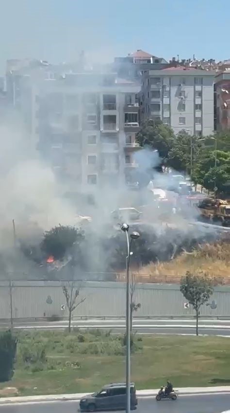 Avcılar’da yaşlı bir adam otluk alanı yakıp kaçtı 4 avcilarda yasli bir adam otluk alani yakip kacti 0 S5kjIIgM