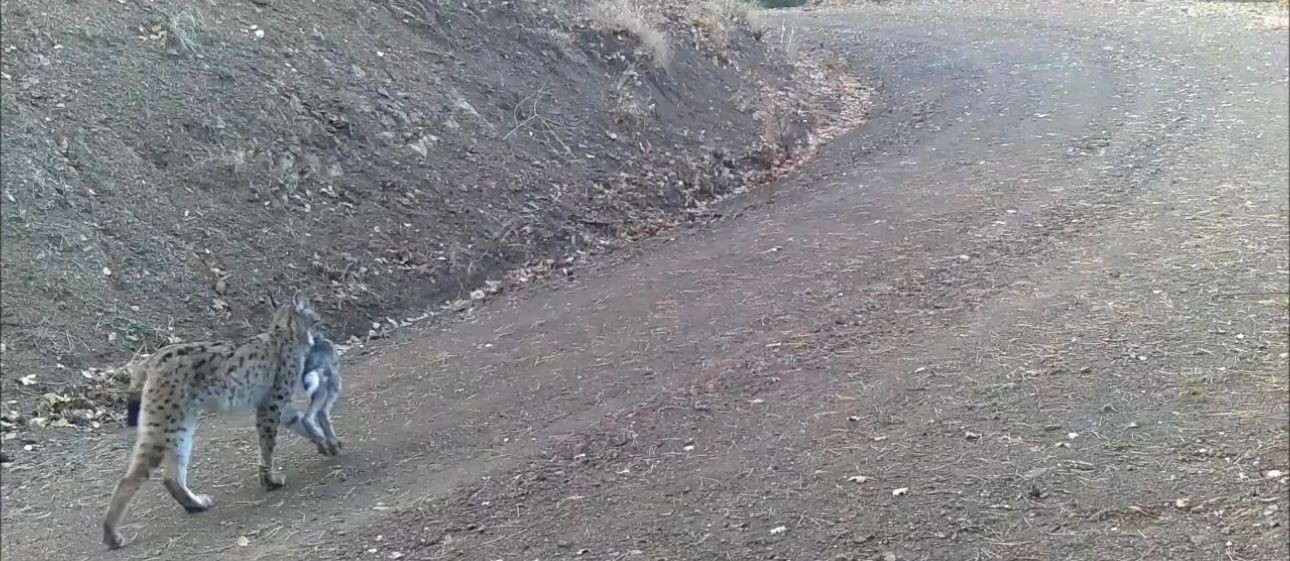 avini tasiyan vasak kamerada 2 EJcgtG3g