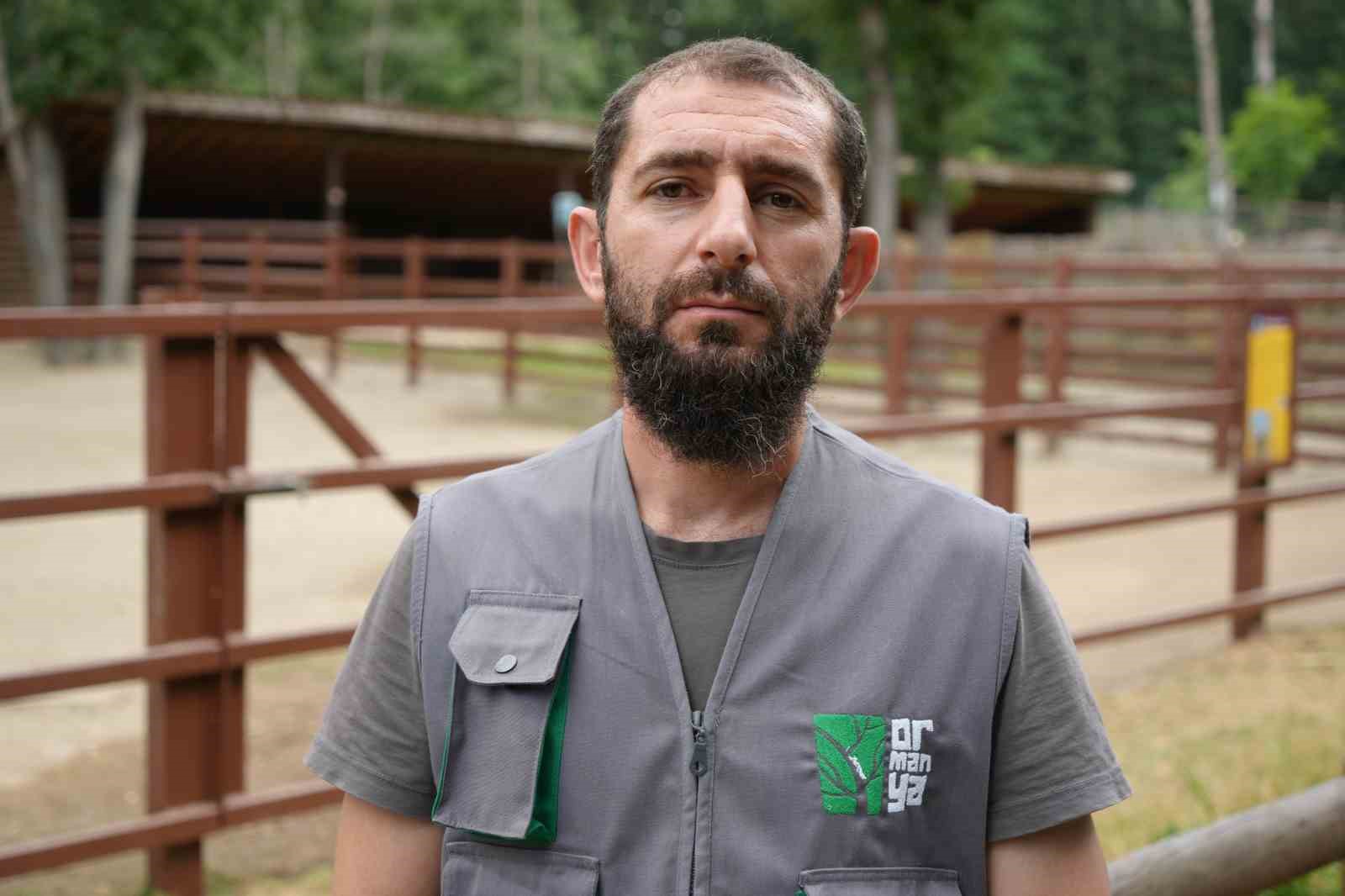 Avrupa’nın en büyük doğal yaşam parkında yavru deve heyecanı 6 avrupanin en buyuk dogal yasam parkinda yavru deve heyecani 2