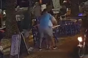 Çeltik tarlalarının müdavimleri: Ekim dönemi leylekler için av fırsatına dönüşüyor 3 thumbnail