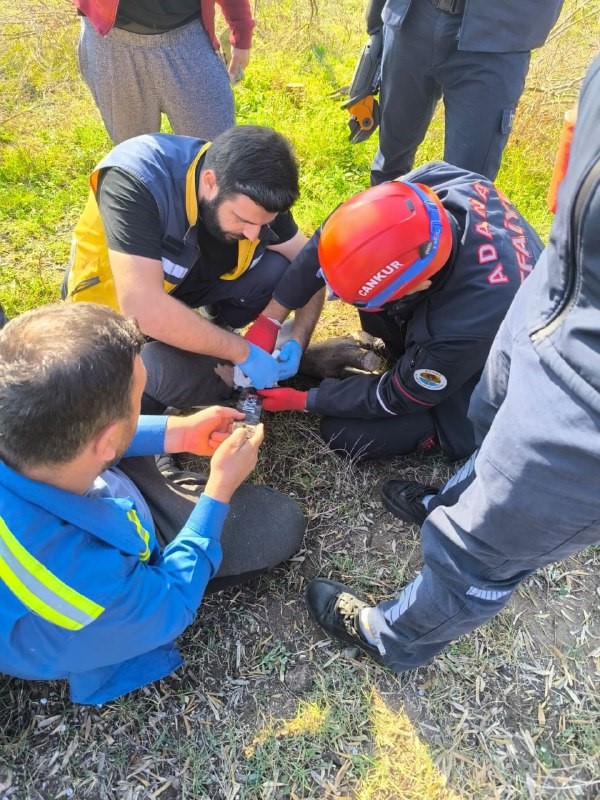 ayagi motorlu testereye sikisan sahsi itfaiye ekipleri kurtardi 1 QgMOPJDc