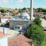 ayagi-yuvasindaki-ipe-takilan-yavru-leylegi-itfaiye-kurtardi-yJADSEut.jpg