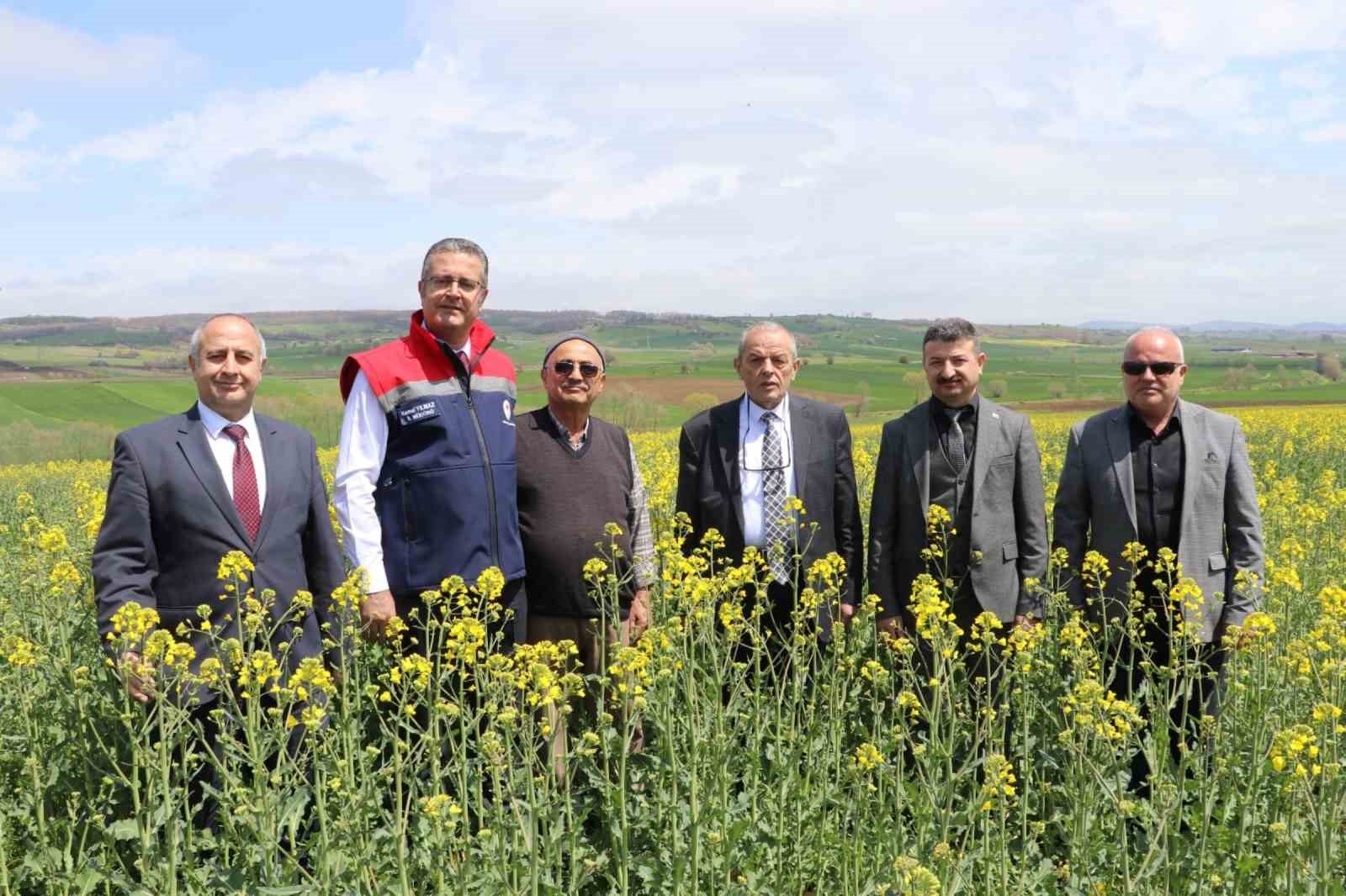 aycicegi ve kuru fasulye tohumlari ciftcilere teslim edildi 5 vapQF6BD