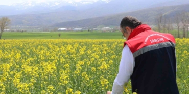 aycicegi-ve-kuru-fasulye-tohumlari-ciftcilere-teslim-edildi-G2wCX5zz.jpg
