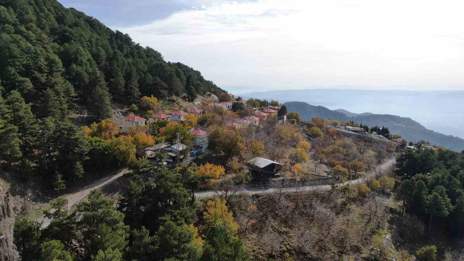 aydin daglari sonbahara kucak acti 9 tD8Sn7OF