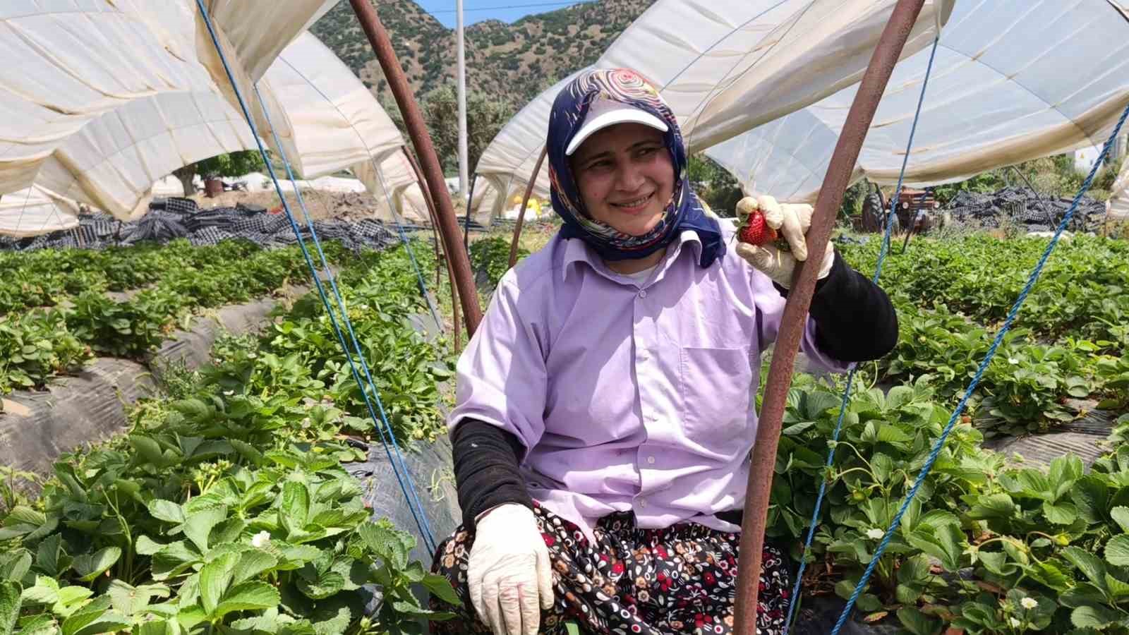 aydinda kavurucu sicakta cilek mesaisi 2 66OkvFbm
