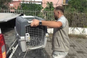 Adana’daki metruk binalar mahalleliyi tedirgin ediyor 2 thumbnail