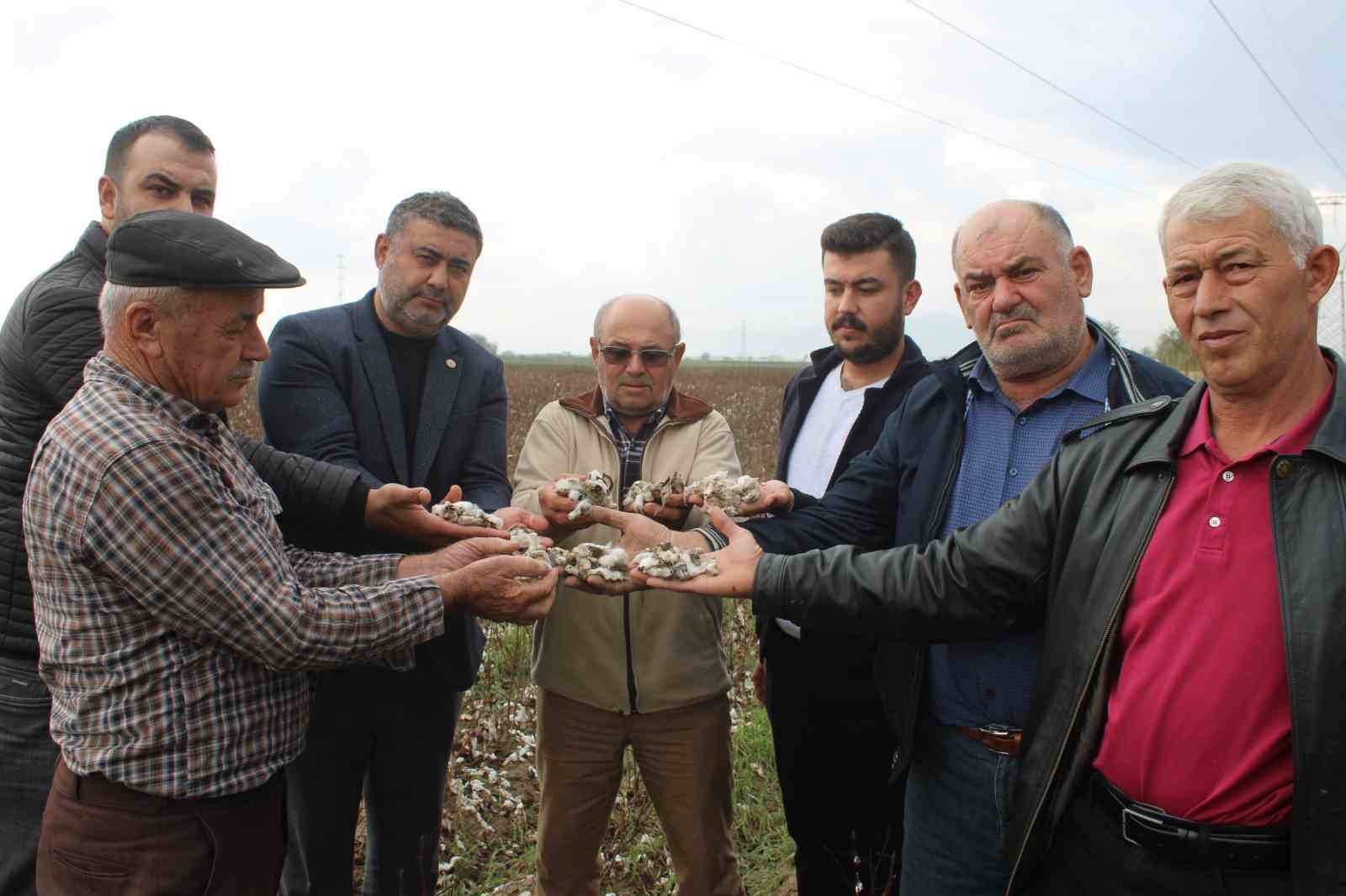aydinda pamuk tarlalarini dolu vurdu 8 LNHMZFFq