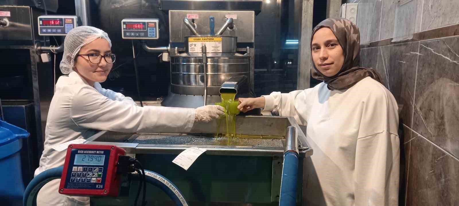 aydinda zeytinin yaga donusumu basladi 5