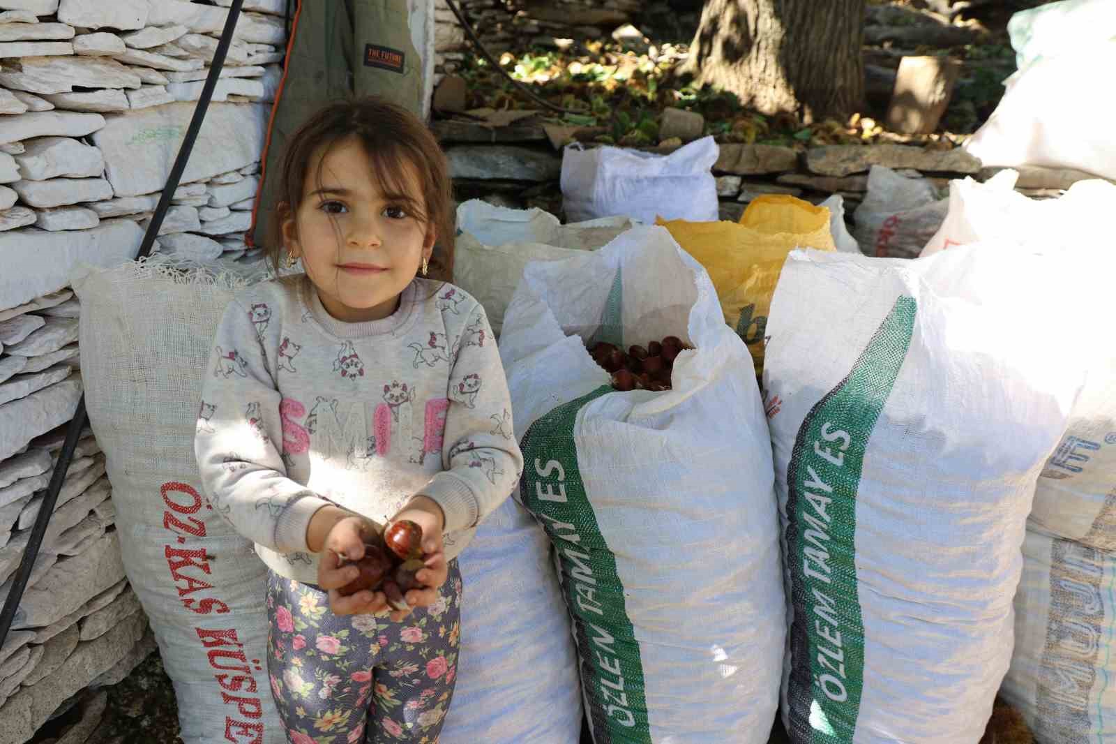 Aydın’ın dağlarında kestane sezonu sona erdi 8 aydinin daglarinda kestane sezonu sona erdi 4 jbeyNTeE
